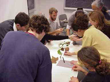 drawing patterns - new ways of thought