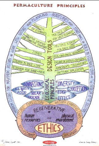 ecological principles, design tools, planning guidelines