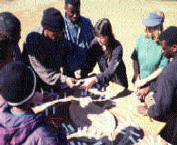 generation of new ideas