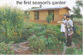 natural pest control and vegetables thrive on gray water
