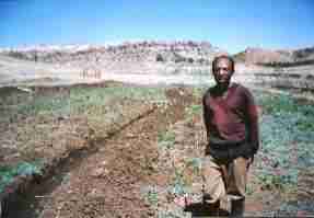ntate seakanelo and orchard swale.